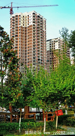 DSC01515 副本.jpg