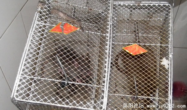QRJ 019.jpg