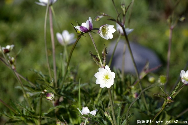 _IGP6921_调整大小_调整大小.JPG