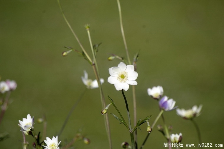 _IGP6927_调整大小_调整大小.JPG