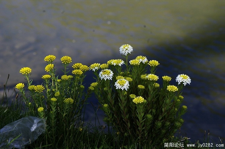 _IGP6934_调整大小_调整大小.JPG