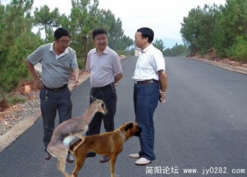 jiao.jpg