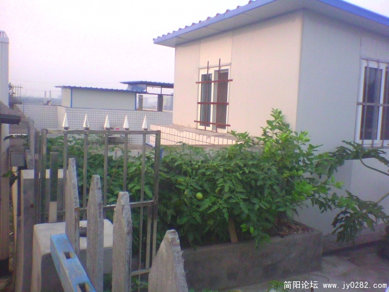 IMG0934A.jpg