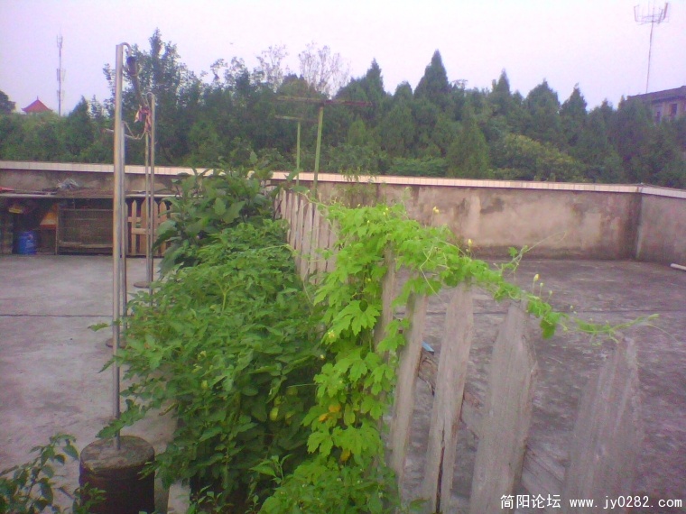 IMG0933A.jpg