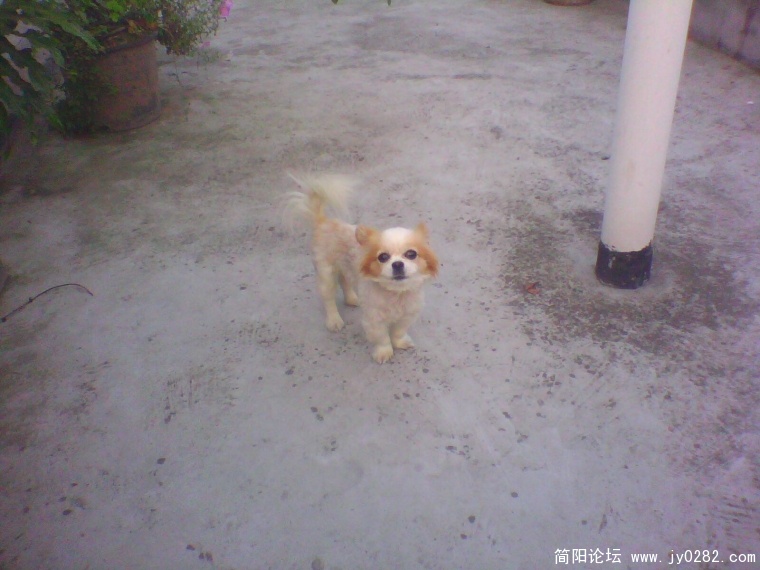 IMG0922A.jpg
