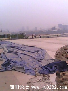 IMG0991A.jpg