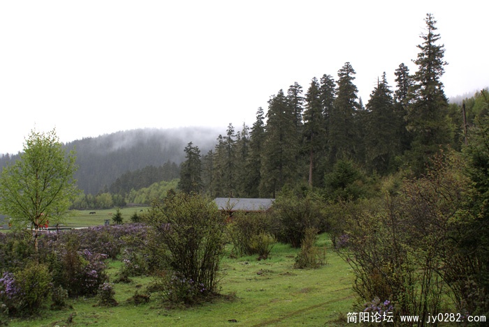 美丽的香格里拉.jpg