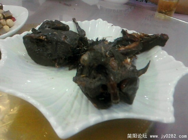 斑鸠.jpg