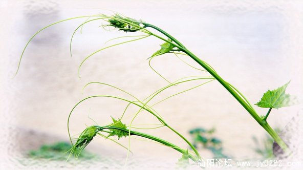 DSC01973 副本.jpg