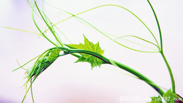 DSC01968 副本.jpg