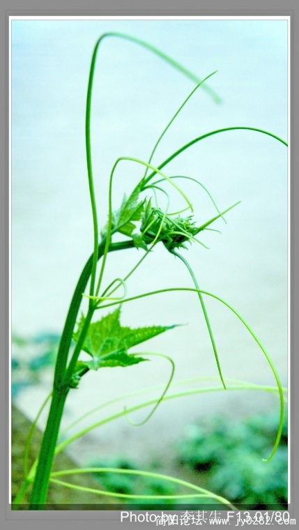 DSC01977 0副本.jpg