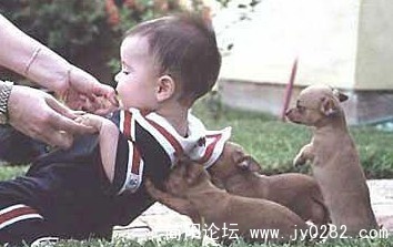 用力 顶.jpg