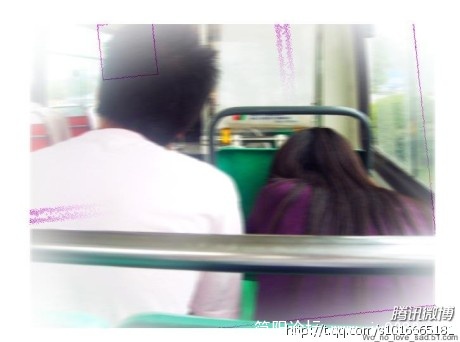 460.jpg