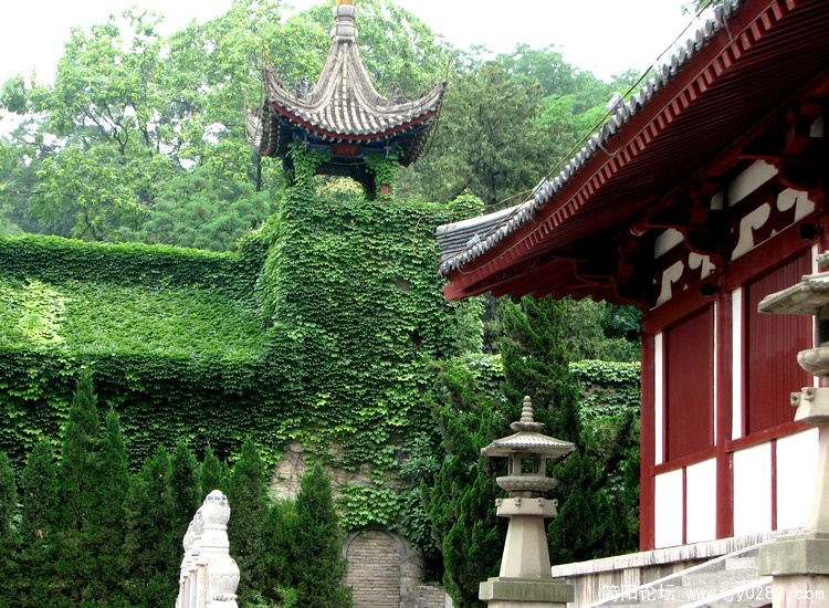 照片 302.jpg