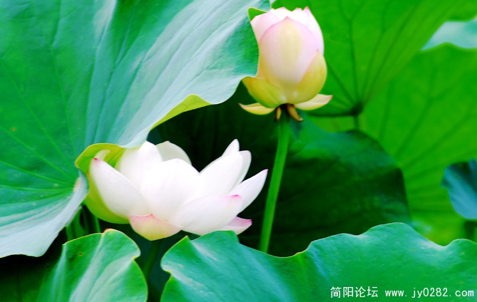 DSC_0044=副本.jpg