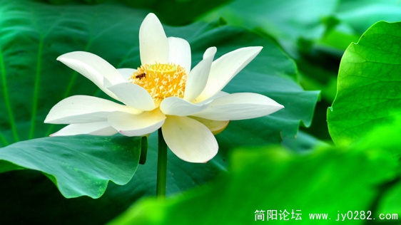 DSC_0016=副本.jpg
