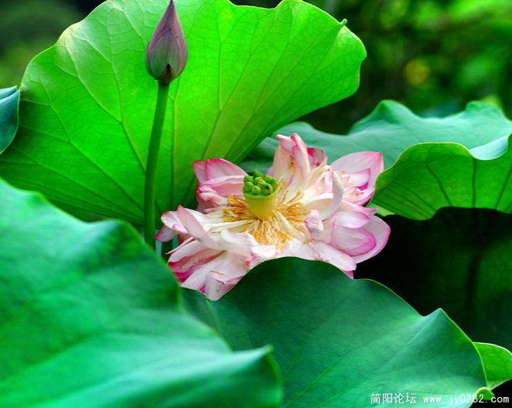 DSC_0148=副本.jpg