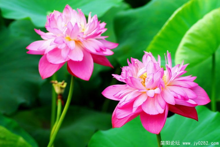 DSC_0140=副本.jpg