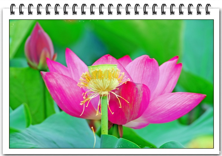 DSC_0083==副本.jpg