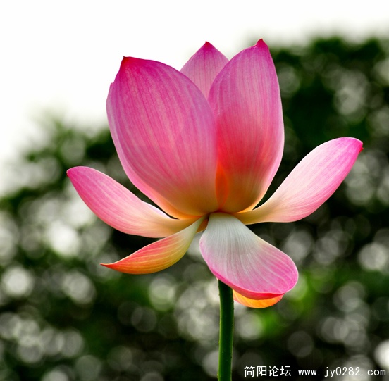 DSC_0182=副本.jpg