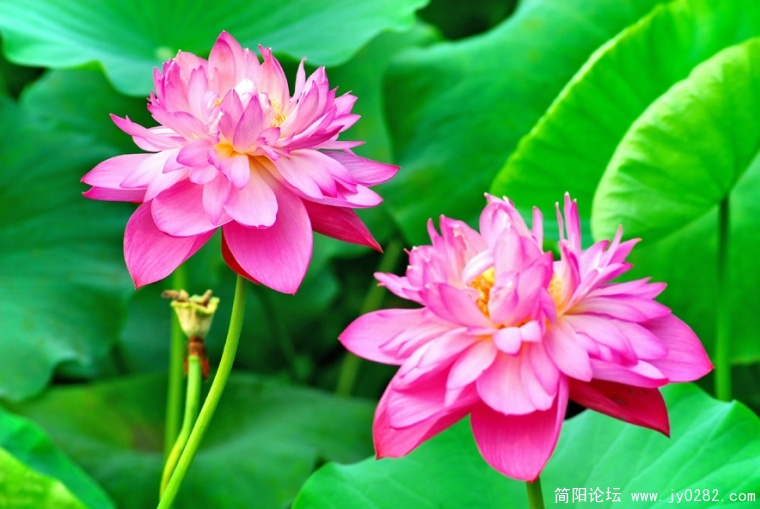 DSC_0138=副本.jpg