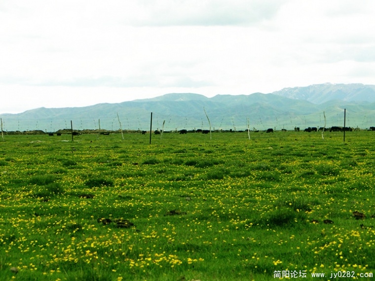 DSC0193911_副本.jpg