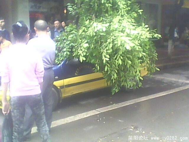IMG0270A.jpg