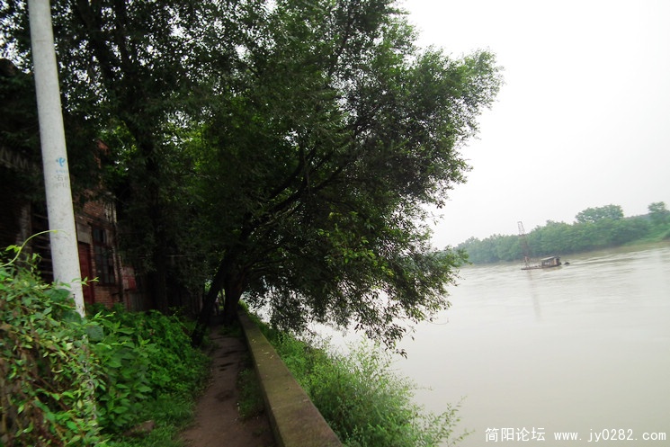 DSCF0290.JPG