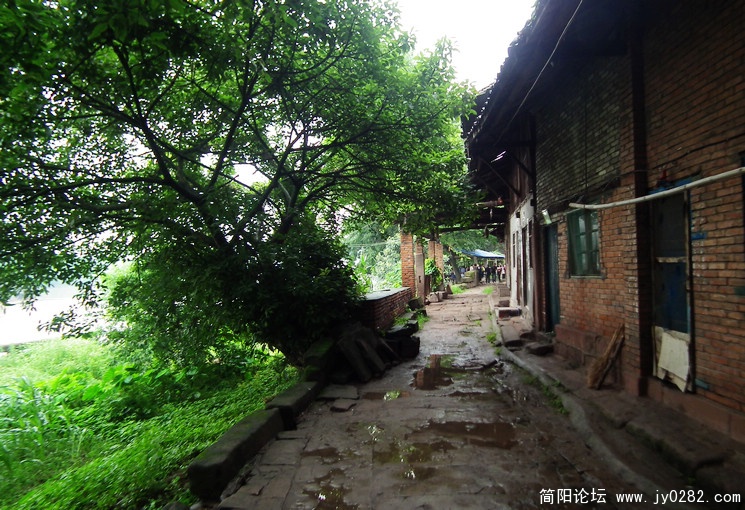 DSCF0328.JPG