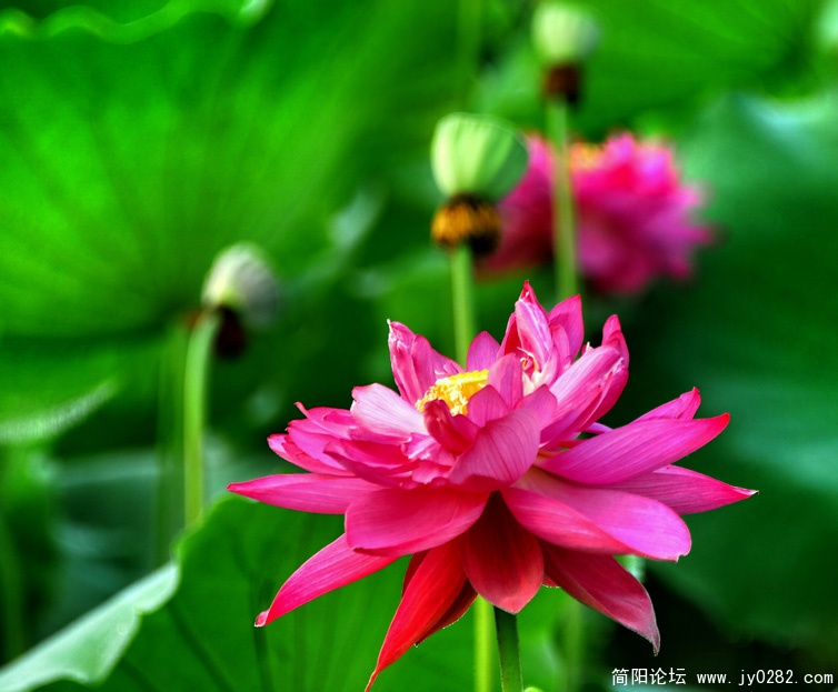 _DSC0002=副本.jpg