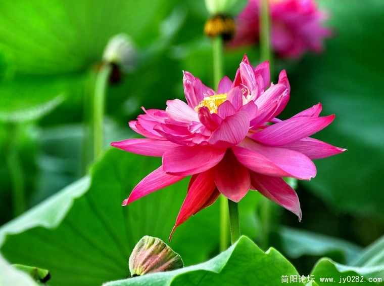 _DSC0001=副本.jpg