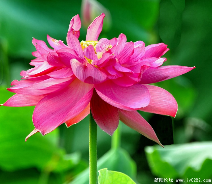 _DSC0007=副本.jpg