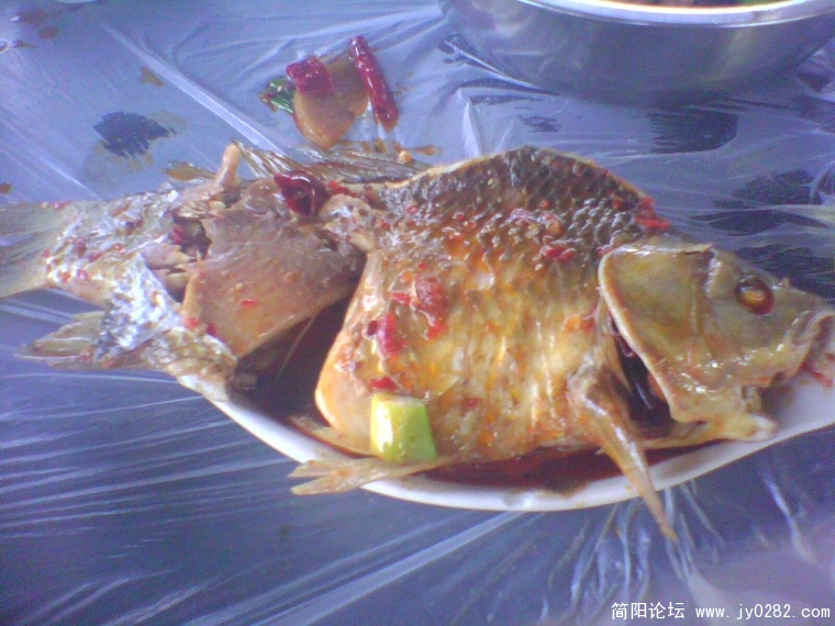 IMG0970A.jpg