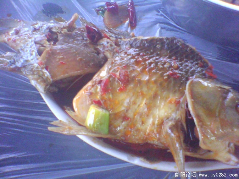 IMG0971A.jpg