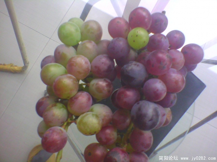 IMG1016A.jpg
