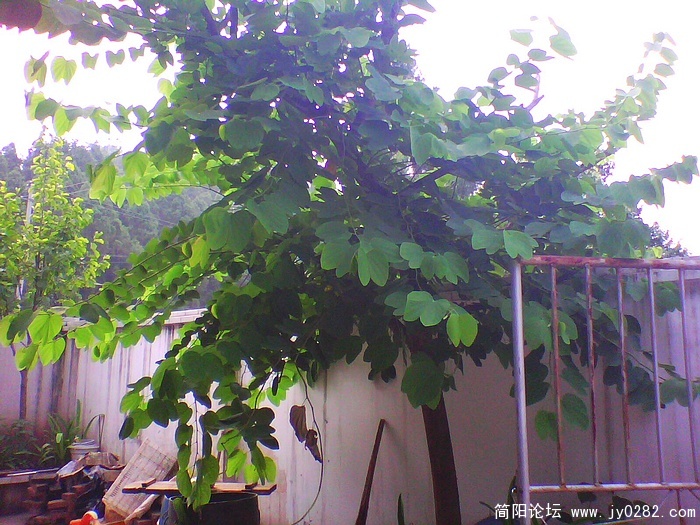 nEO_IMG_IMG1046A.jpg