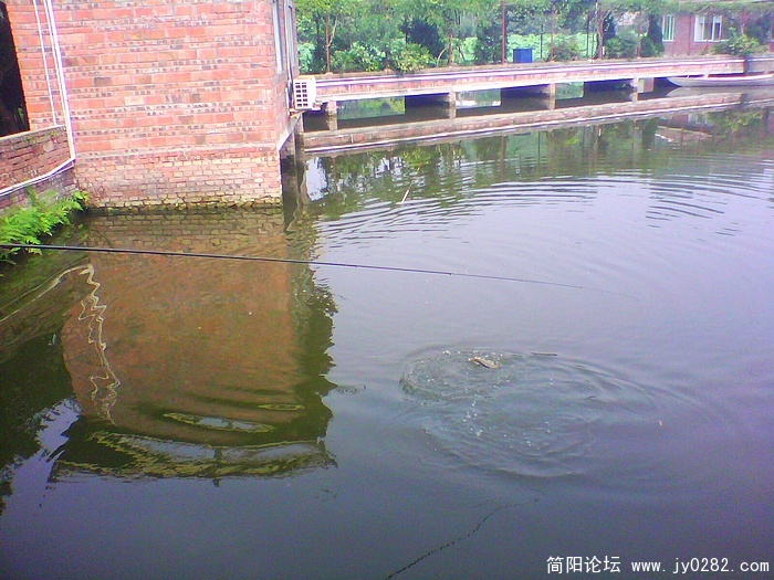 nEO_IMG_IMG1030A.jpg