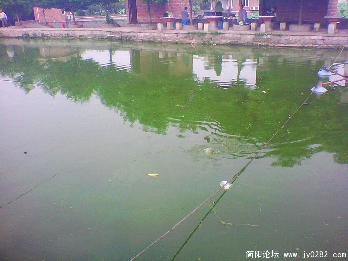 nEO_IMG_IMG1035A.jpg