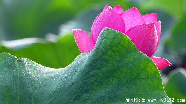 _DSC0108=副本.jpg