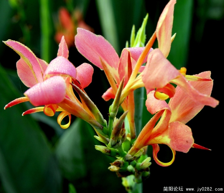 _DSC0119=副本.jpg