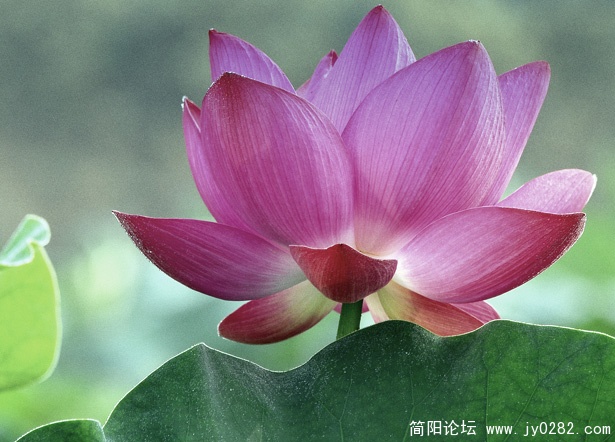 _DSC0106=0副本.jpg