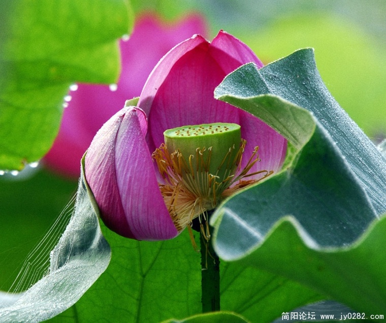 _DSC0092=副本.jpg