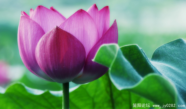 _DSC0089 0副本.jpg