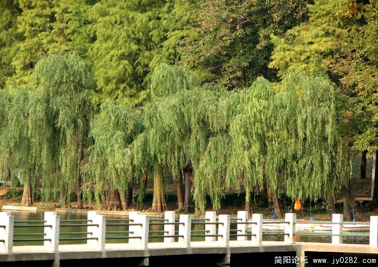 2010.10武汉 171.jpg