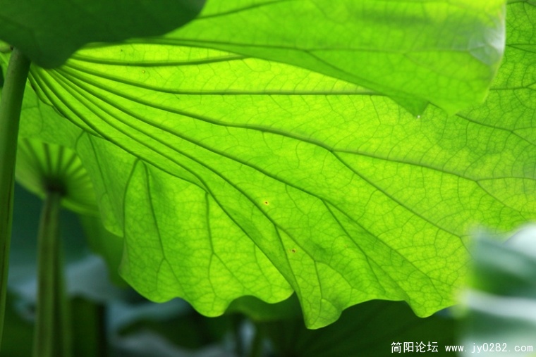 _MG_4384.jpg