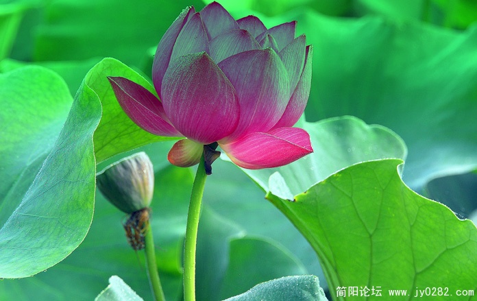 _DSC0112==副本.jpg