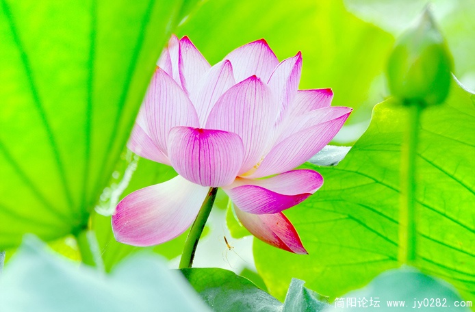 _DSC0072=副本.jpg