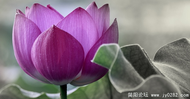 _DSC0089==副本.jpg