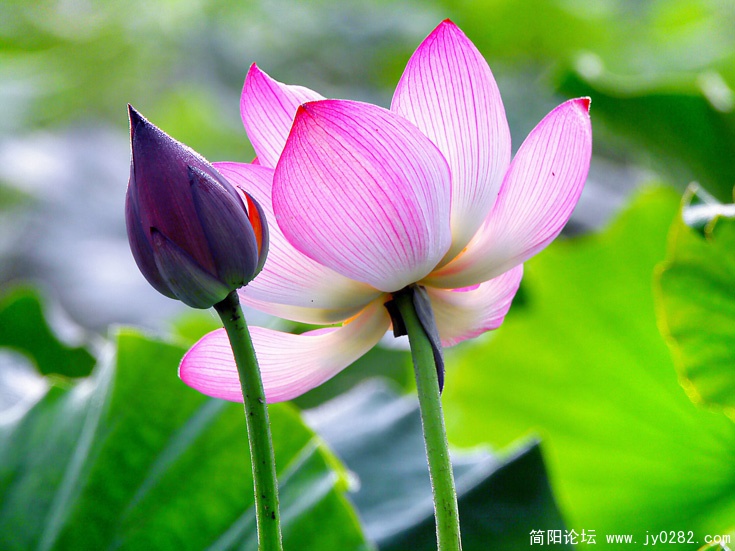 _DSC0065=副本.jpg