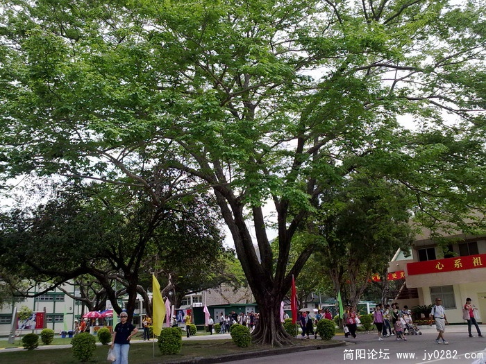 20110502258.jpg
